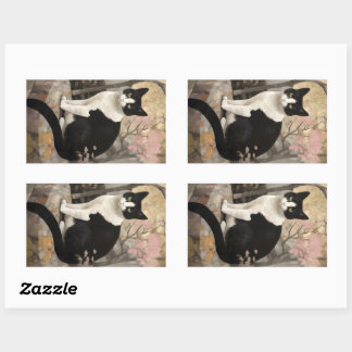 Sticker Rectangulaire Tuxedo Chat sur un rocher assis dans un jardin