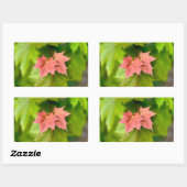 Sticker Rectangulaire Two maple leaves (Feuille)