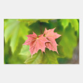 Sticker Rectangulaire Two maple leaves (Devant)