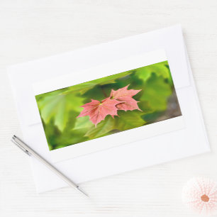 Sticker Rectangulaire Two maple leaves