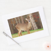 Sticker Rectangulaire Un cerf de rêve de chasseur (Enveloppe)