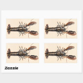 Sticker Rectangulaire Un homard de Solva (Feuille)