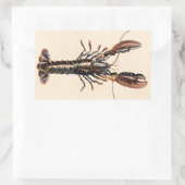 Sticker Rectangulaire Un homard de Solva (Sac)