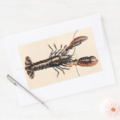 Sticker Rectangulaire Un homard de Solva (Enveloppe)