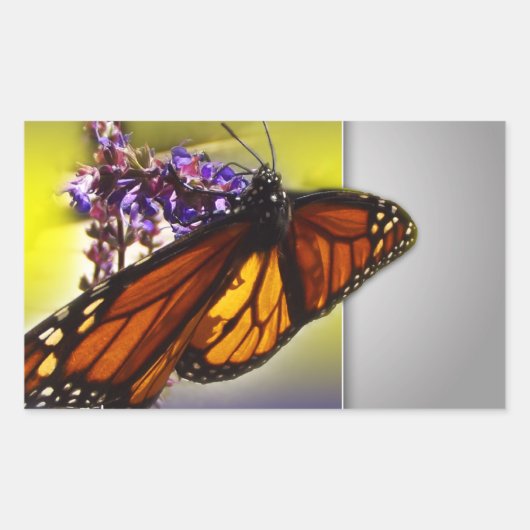 Sticker Rectangulaire Un Petit Papillon Sucré (Devant)