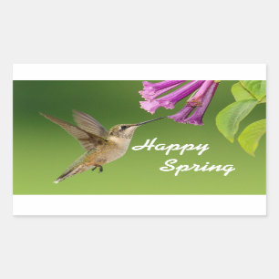 Sticker Rectangulaire Un printemps heureux pour colibri