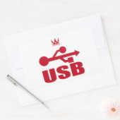 STICKER RECTANGULAIRE USB(赤) (Enveloppe)