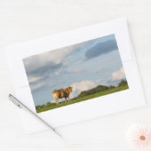 Sticker Rectangulaire Vache Blonde d'Aquitaine en Dordogne, France (Enveloppe)