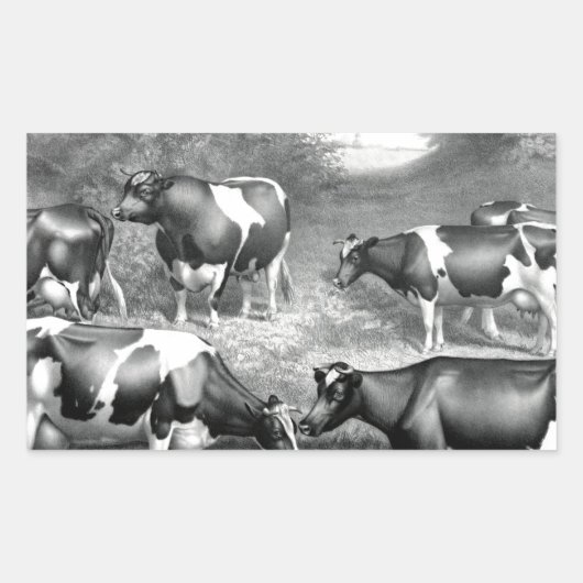 Sticker Rectangulaire Vaches libres Holstein vaches frey (Devant)