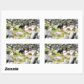 Sticker Rectangulaire Vaches Moo (Feuille)