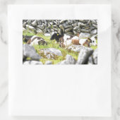 Sticker Rectangulaire Vaches Moo (Sac)