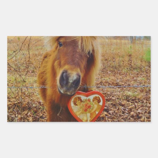 Sticker Rectangulaire Valentine Heart Miniature Brown Horse (Devant)