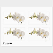 Sticker Rectangulaire Vaporisateur floral blanc Dendrobium Orchidée (Feuille)