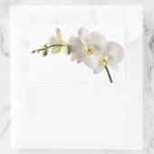Sticker Rectangulaire Vaporisateur floral blanc Dendrobium Orchidée (Sac)
