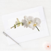 Sticker Rectangulaire Vaporisateur floral blanc Dendrobium Orchidée (Enveloppe)