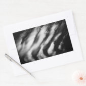Sticker Rectangulaire vautours tombés (Enveloppe)