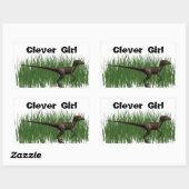 Sticker Rectangulaire Velociraptor (Feuille)