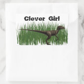 Sticker Rectangulaire Velociraptor (Sac)