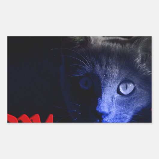 Sticker Rectangulaire vendredi 13 (Devant)
