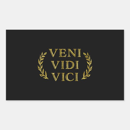 Sticker Rectangulaire Veni Vidi Vici Gagnant du jeu amusant (Devant)