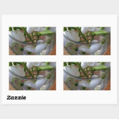 Sticker Rectangulaire verre de drops (Feuille)