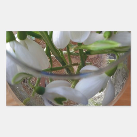 Sticker Rectangulaire verre de drops (Devant)