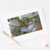 Sticker Rectangulaire verre de drops (Enveloppe)