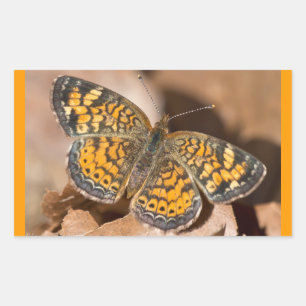 Sticker Rectangulaire Vêtements et Cadeaux Papillon Brun et Orange
