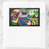 Sticker Rectangulaire Vie de papillon  (Sac)