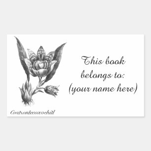 Sticker Rectangulaire Vintage plaque de gravure de fleur d'orchidée exot