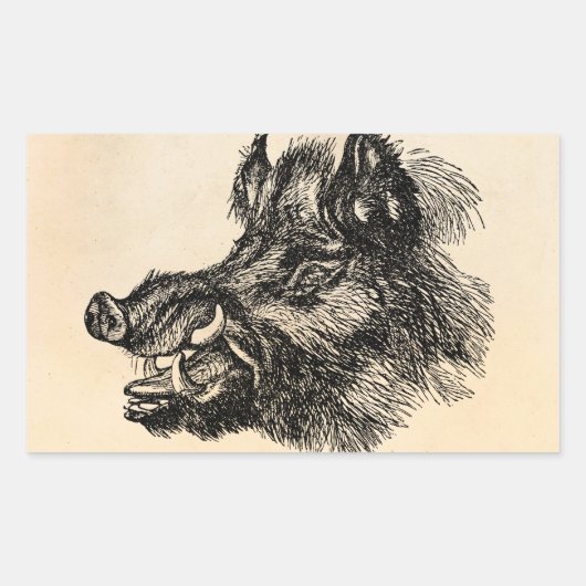 Sticker Rectangulaire Vintage Vicious Wild Boar w Tusks (Devant)