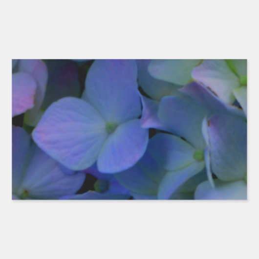 Sticker Rectangulaire Violet violet rose bleu hydrangée fleurie (Devant)