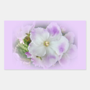 Sticker Rectangulaire Violettes africaines violettes et blanches