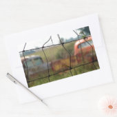 Sticker Rectangulaire Voitures et camions rouillent dans un champ rural (Enveloppe)