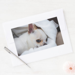 Sticker Rectangulaire Votre chiot chien de compagnie photo personnalisée
