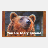Vous Êtes Beary Spécial Ours Brown Faune Portrait