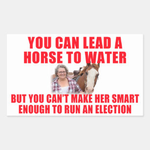 Sticker Rectangulaire Vous pouvez conduire un cheval à l'eau