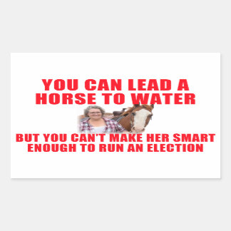Sticker Rectangulaire Vous pouvez conduire un cheval à l'eau