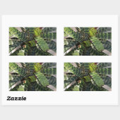 Sticker Rectangulaire Vriesea Splendens Bromeliad Plante Feuilles rayés (Feuille)