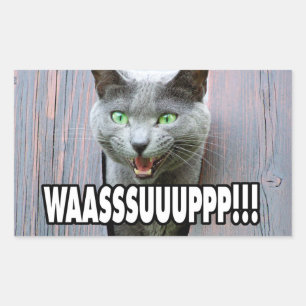 Sticker Rectangulaire WASSUP - Mème de chat
