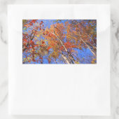 Sticker Rectangulaire West Mt. Autumn Hot Springs National Park Cadfts (Sac)