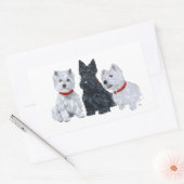 Sticker Rectangulaire Westies and a Scottie Together (Enveloppe)