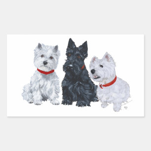 Sticker Rectangulaire Westies et un Scottie ensemble