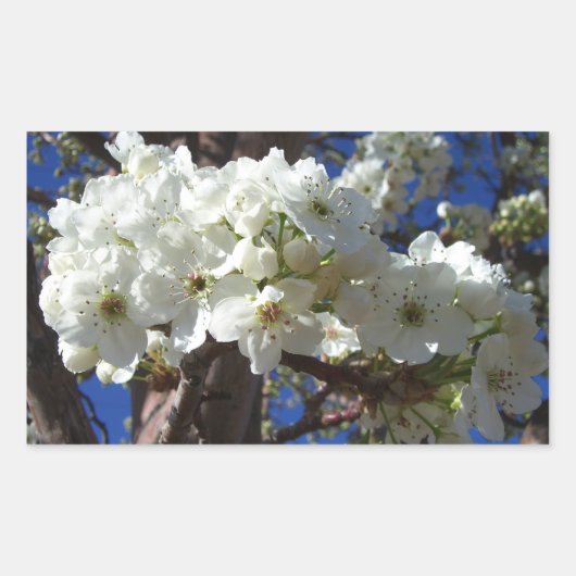 Sticker Rectangulaire White Blossoms II (Devant)