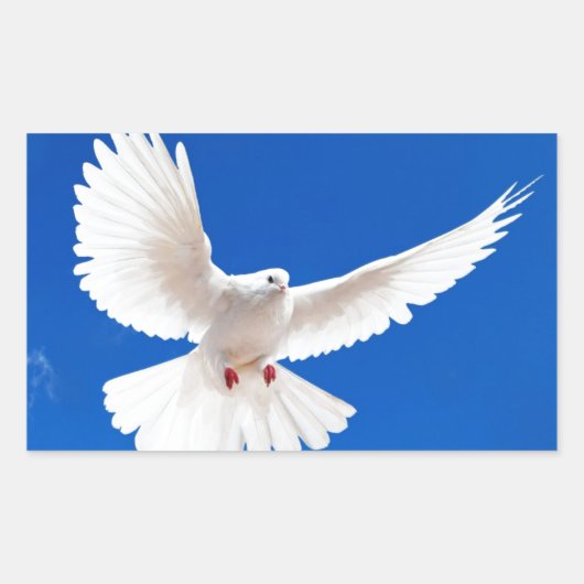Sticker Rectangulaire White Dove Bird Peace Love Flying Sky (Devant)