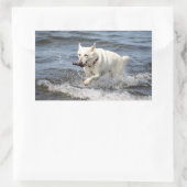 Sticker Rectangulaire White German Shepard sur le lac George (Sac)