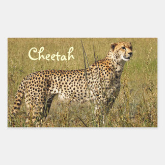 Sticker Rectangulaire Wild African Cheetah à Savannah grasses