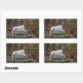 Sticker Rectangulaire Wolf à l'automne (Feuille)