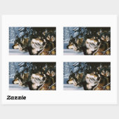 Sticker Rectangulaire Wolf Pack (Feuille)