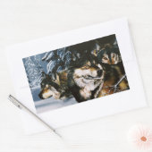 Sticker Rectangulaire Wolf Pack (Enveloppe)